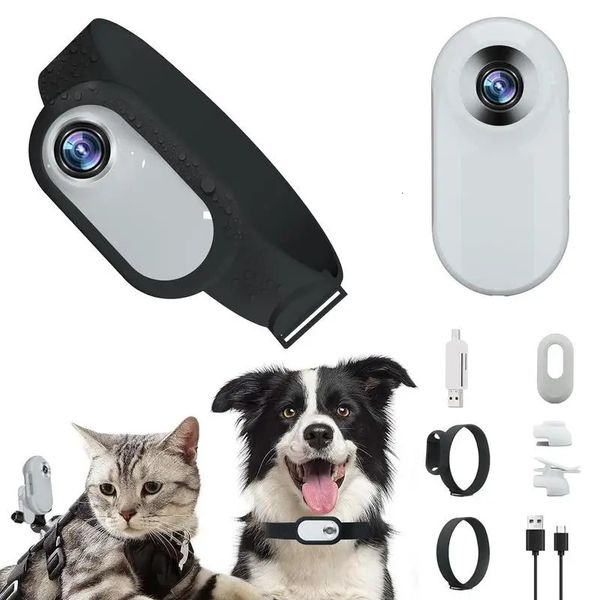 Caméra de collier pour animaux de compagnie HD 1080p Mini sport avec écran d'enregistrement vidéo en plein air sans fil fournitures de sécurité pour chat 240226