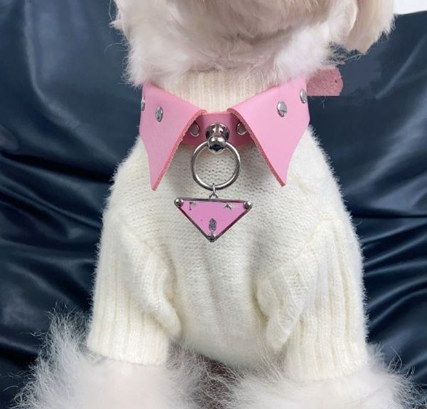 Collier pour animaux de compagnie Teddy Bichon Schnauzer petit chien réglable marque de mode chiens et chats collier de harnais pour chien
