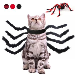 Vêtements de cosplay pour animaux de compagnie Costumes d'Halloween Harnais drôle d'araignée pour les fournitures de chat de fête Vêtements pour chiens Accessoires de déguisement Navidad 240226