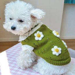 Pull mignon pour animaux de compagnie, fleurs classiques 3D en fleurs, vêtements tricotés à 2 pattes pour temps froid, petit chien moyen, chat, arrivée 240307