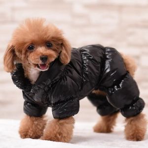 Vêtements pour chiens de compagnie, veste coupe-vent épaisse et brillante, manteau Hip-hop pour visage d'animal de compagnie, automne hiver, pull à la mode, vêtements 296N