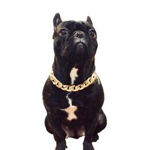 Hond Kat Ketting Halsband Puppy Ketting Gepersonaliseerde Bully Gouden Ketting Krachtig Kunststof voor Honden Sieraden Huisdier Accessoires26155258227