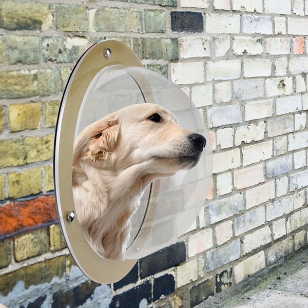 Pet Dog Cat Door Ramps Space Fenêtre d'espace pour le volet de sécurité murale Tunnel Pet Petnel Puphole Dog clôture Fension For Home Treat Pet Autisme