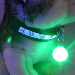 Hond kat hanger kraag knipperende hond tag, id-kaart heldere veiligheid led veiligheid ketting nachtlampje