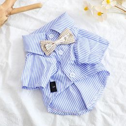 Vêtements pour chiens de compagnie Bowknot Shirts rayés pour chiens vêtements chat petit mince d'été bleu garçon garçon fille chihuahua produits 240328