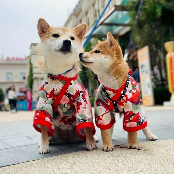 Acaricie la ropa del perro, ropa del kimono del estilo japonés, venta caliente de la impresión de la grulla estacional para los perros