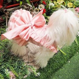Vêtements pour chiens de compagnie robe de mariée de printemps Tutu Chihuahua Yorkshire Terrier Poodle Pomeranian Schnauzer Welsh Corgi Vêtements 240402