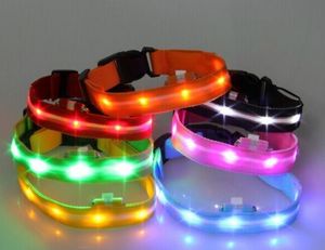 Collier pour chien de compagnie réglable, bandes clignotantes LED, nylon lumineux, ceinture de dressage colorée pour fournir une nouvelle lampe de Noël en gros avec d