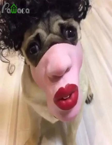 Pet Dog Funny Red Lips Masks Pet Toys Face Masque bouche Halloween Party Latex Masque Anticick Anticicking Fournitures anticallées 9771778