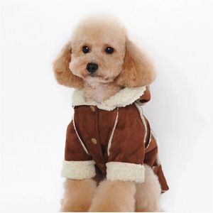 Veste d'hiver pour chien, Style mignon, manteau d'hiver, la plupart des vêtements, 5 tailles et 3 couleurs, fourniture 240226
