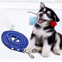 Laisse pour chien de compagnie 120 cm longueur corde de traction chien/chat chiot laisse en plein air portable chien marche corde multi couleurs laisse pour animaux de compagnie BH590 TQQ
