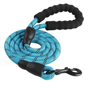 Laisse pour chien de compagnie pour petits et grands chiens, laisses de collier réfléchissantes pour chiens, corde de traction, harnais d'entraînement pour animaux de compagnie, laisses de course en Nylon, fournitures