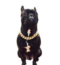 Hond Ketting Halsbanden Dikke Gouden Ketting Verguld Plastic Geïdentificeerde Veiligheidskraag Puppy Honden Benodigdheden Hond Accessoires6269633