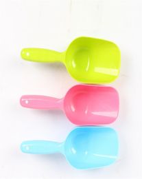 Pet Dog Spoon Puppy Cat Bird Bird Ferret Rabbit Food Feeder Scoop Phel Spade Dishs Tool YQ011242239576