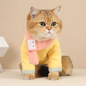 Pull pour chien avec écharpe assortie Vêtements chauds d'hiver Manteau pour temps froid pour chien et chat