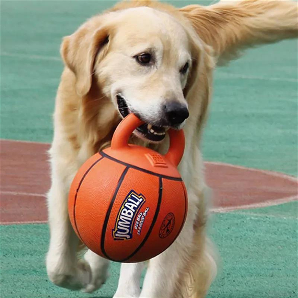 Pelota de juguete para perros, baloncesto resistente a mordeduras, mango de goma, Indestructible, entrenamiento para perros grandes, juego interactivo, pelota de juguete de 20cm