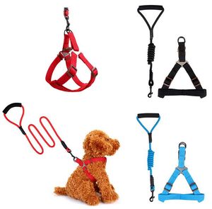 Pet Dog Training Leash Collar 5 Kleuren 120cm hondenriemen met harnas multi kleuren duurzaam trekkoord