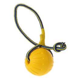 Pet Dog Training Toy Ball Dog Rubber Ball Chew Bite Resistant Toy Met Touw 85WC