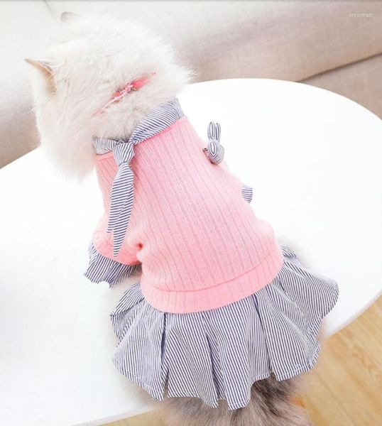 Robe pour animaux de compagnie pour chien petit petit rose vert bleu chiots Animal chat Tutu fête de mariage jupe vêtements Costumes