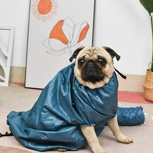 Sac de séchage pour animaux de compagnie, fournitures transfrontalières Amazon, nouveau sèche-cheveux pour douche pour chien et chat