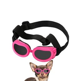 Huisdierbril glazen kleine bril honden katten zonnebril mooie hond zonnebril beschermend glas