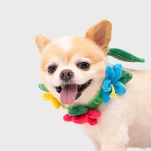 Perro de escritura hawaiano para mascotas, juguete interactivo para roer flores