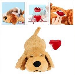 Pet Heartbeat Cachorro Entrenamiento conductual Cómodo Snuggle Alivio de la ansiedad Ayuda para dormir Muñeca Suministros de juguete duraderos 240220