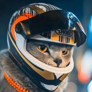 Pet Helmets Cat Helmet, hondenhelm-outdoor Mini Head Protecting Safe Hat Motorfietshelm Decoratieve huisdierfoto Props Accessorie