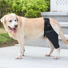 Taft sur les genoux pour animaux de compagnie pour les blessures de réduction des jambes Protecteur Protecteur Chien de la cuisse Brace Brace Support réglable CELaire postopératoire Fixation