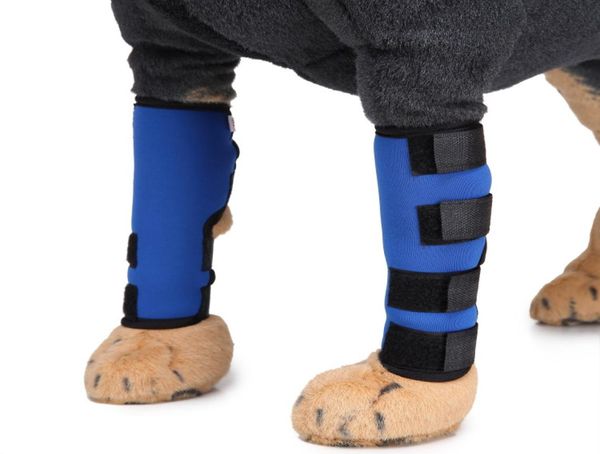 Protecteur de genou pour animaux de compagnie pour chiens de soutien supplémentaire canine arrière de la jambe arrière enveloppe de joint protège les plaies guérir l'auto-alimentation de compression empêche le TEP 7699487