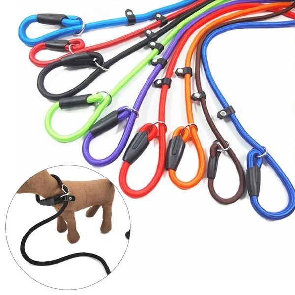Laisses pour animaux de compagnie Laisse de chien en nylon Pet Puppy Slip Lead Rope Dog Slip Leash Collier de chaîne Laisse de dressage de chien réglable pour petit chien