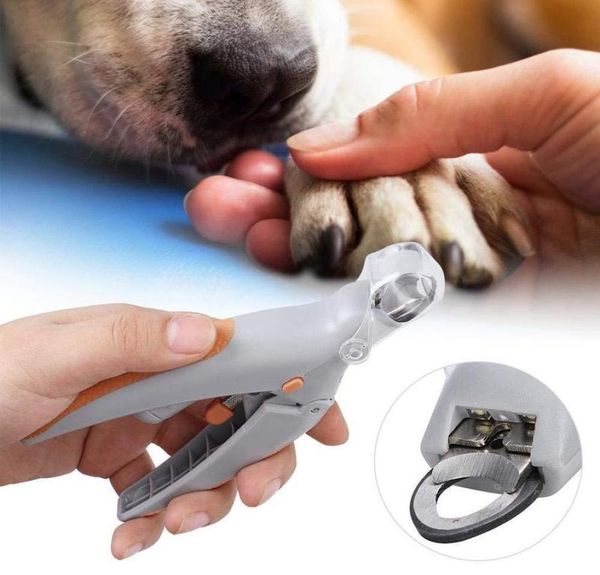 Pet Nail Clipper Ciseaux Pet Dog Cat CHAT Nail Toe Claw Clawing LED Light Nail Trimm Cats Dog Thering Animal Animal Supplies 2208479396