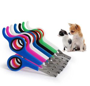 Outils de clous de compagnie 12cm pour chats de chien outil d'orteil de lapin de rabbit toenail ciseaux Clipper Grooming Paw Cutter Bird Parrot Shear Animal Gerb2115188