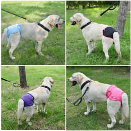 Pantalones fisiológicos de mascota pañal hembra lavable sanitaria para pequeñas bragas para perros pantalones cortos ropa interior de cachorro