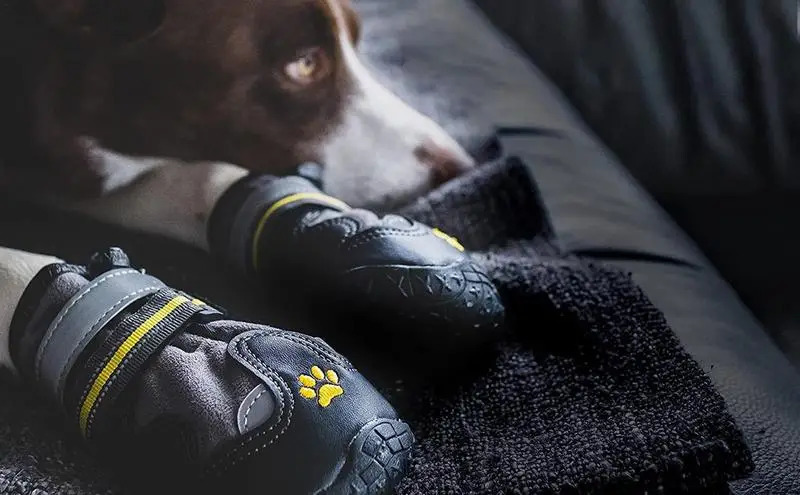 Zapatos protectores para mascotas, botines para perros, zapatos antideslizantes para la lluvia para perros y gatos, cubierta para pies para mascotas, calcetines impermeables para perros que caminan, botas reflectantes para perros, protegen la pata 231011