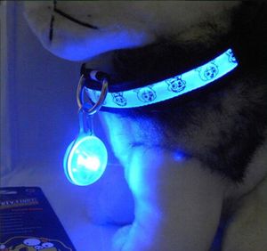 Collier LED nocturne pour animaux