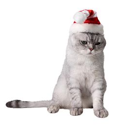 Pet Santa Hat Stripe Decorative Cat Costume Hat Puppy Holiday Hat Hatch For Christmas Cat Dog Noël Ornements de costume de vacances