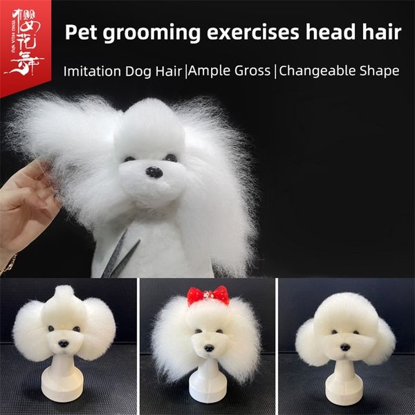 Modèle de faux chien de plusieurs couleurs de cheveux de tête simulés pour animaux de compagnie pour la coupe de pratique d'esthéticienne 220510