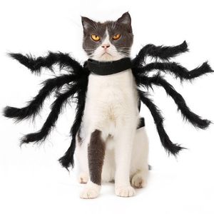 Vêtements Super amusants pour animaux de compagnie, accessoires de déguisement d'halloween pour petit chien, Costume de chat Cosplay Spider346z