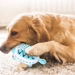 Animaux domestiques pour animaux de compagnie à chiens de chien Boule jouet extérieur d'alimentation en plein air