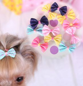 Doggy stylz chien toilettage belle fait à la main concepteur chien pince chat chiot arcs pour accessoires de cheveux