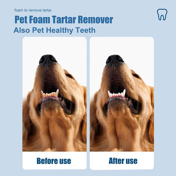 Pet Tartar Remover Pet Dentners Nettoyer 60 ml Tool de nettoyage pour chiens