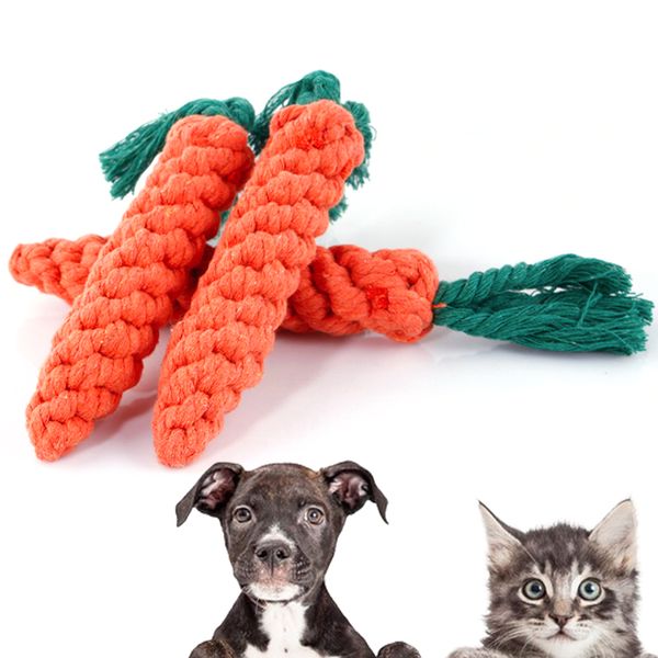 Jouet pour animaux de compagnie créatif carotte chat chien formation obéissance forme double noeud coton corde molaire accompagner apaiser