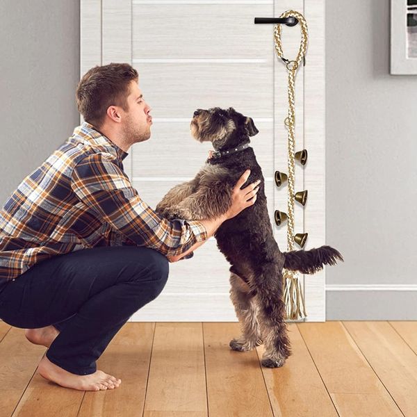 Campaña de entrenamiento para mascotas Llama para perros o juegos de entrenamiento para perros de gato que hablan de entrenamiento para ir al baño para perros salen/ al baño