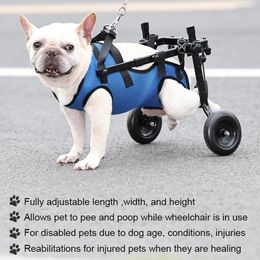 Pet Walk Booster Dog Silla de silla de ruedas Patsas traseras ajustables Soporte de gato herido y débil Ayuda de rehabilitación Ayuda 2312227