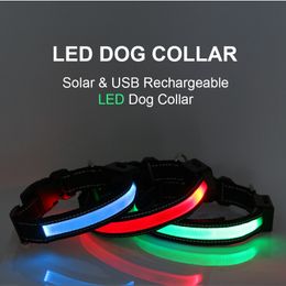 Collar de perro Petrainer LED con carga solar y correa de perro recargable USB 201030
