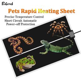 Animaux de compagnie chauffage rapide Reptile électrique tampon chaud terrarium Tempor de température réglable Mattes d'incubateur MAT OUTILS 220V