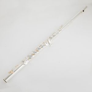 PFA-201U flûte alto G Tune 16 clés à trou fermé instrument plaqué argent avec boîte