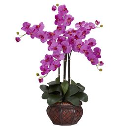 Phalaenopsis avec vase décoratif en soie, orchidée