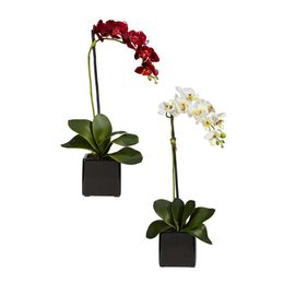Orchidée Phaleanopsis avec Arrangement en Soie Vase Noir - Lot de 2 - Rouge Blanc